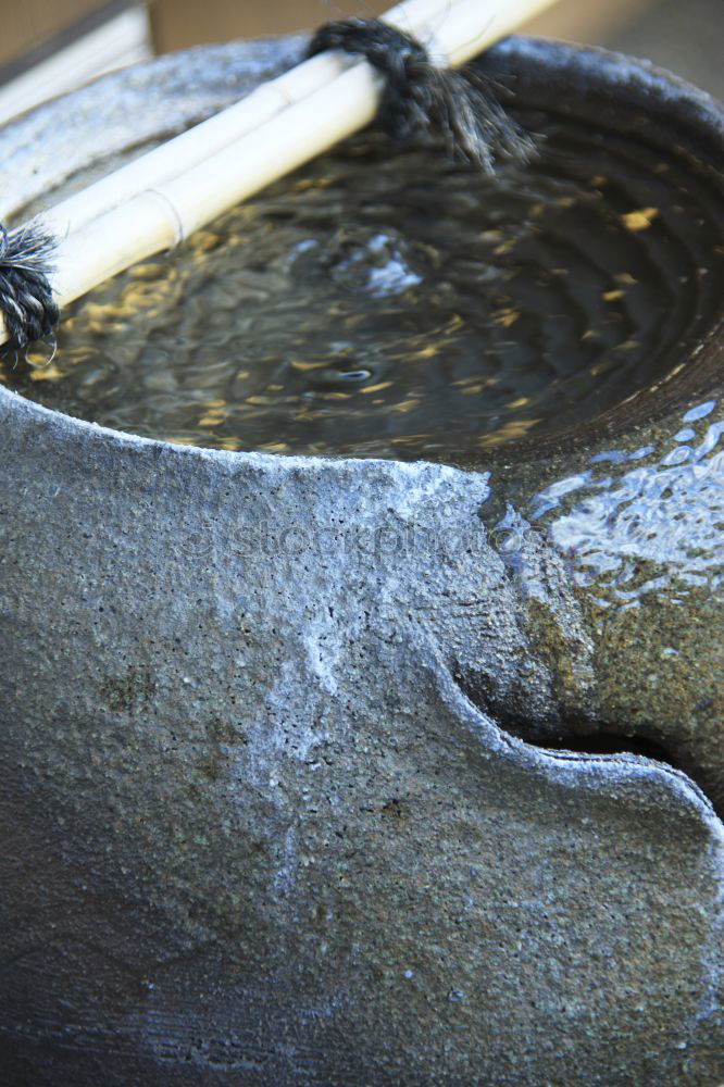 Similar – Image, Stock Photo Raw salmon fish on grill.