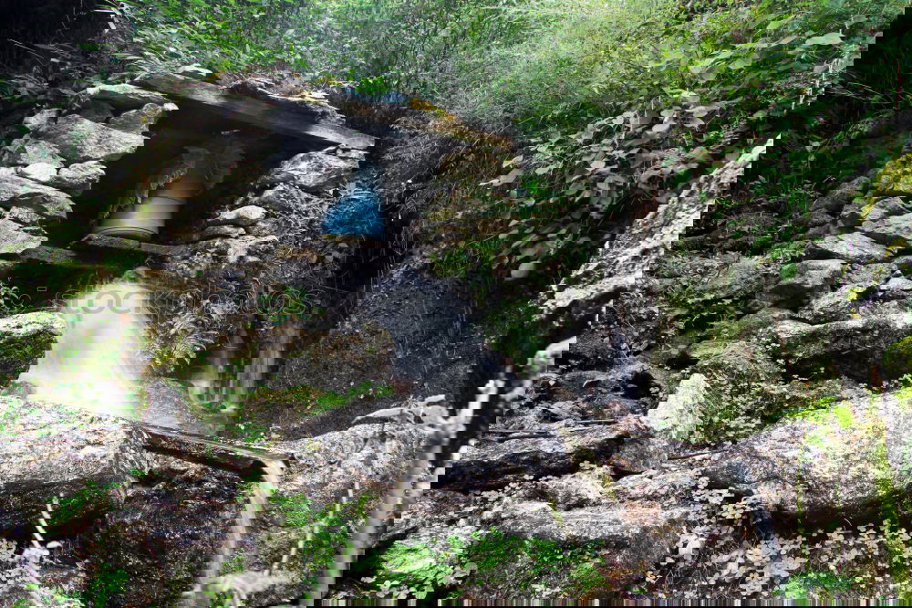 Similar – Foto Bild Schneekatastrophe im Bay. Wald