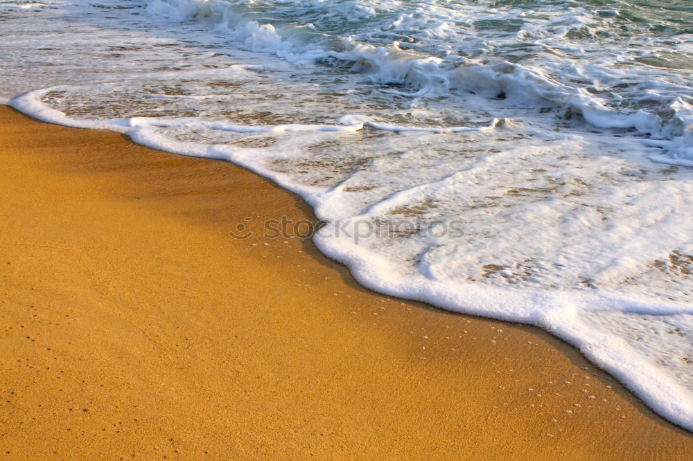 Similar – Image, Stock Photo Mollusks on sand near waving sea