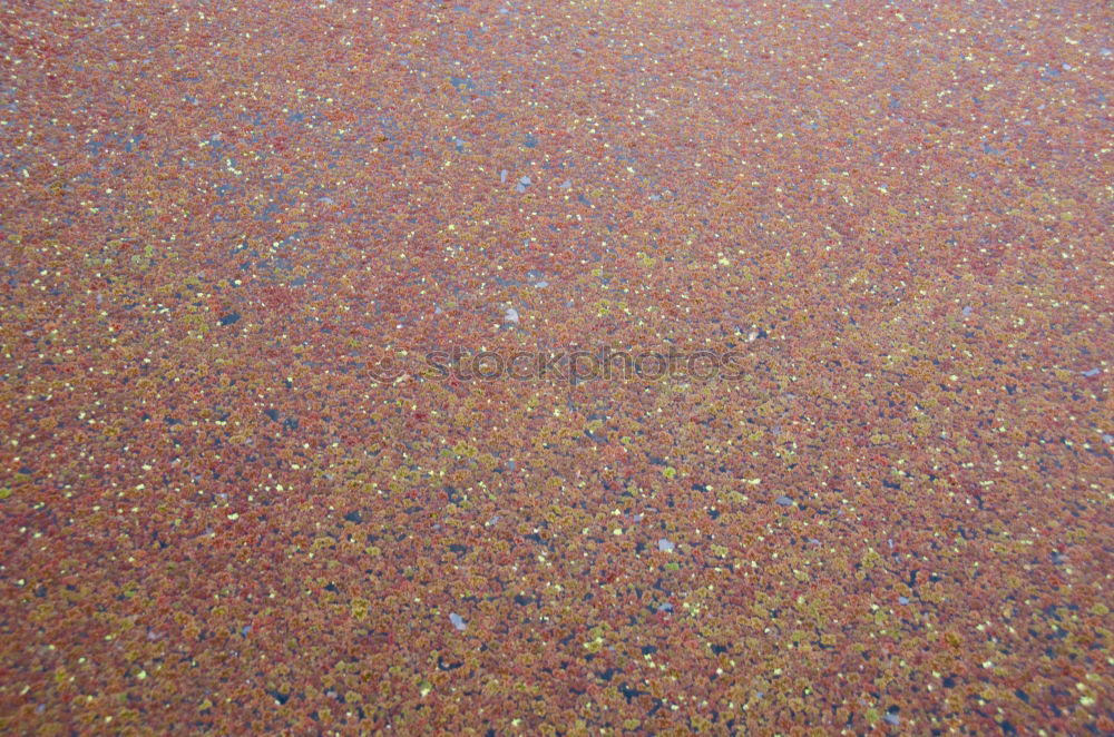 Similar – Image, Stock Photo carpet designs Environment