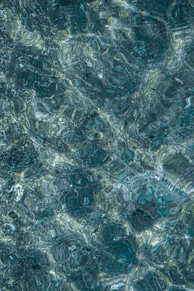 Similar – Image, Stock Photo Fish nightmare Landing net