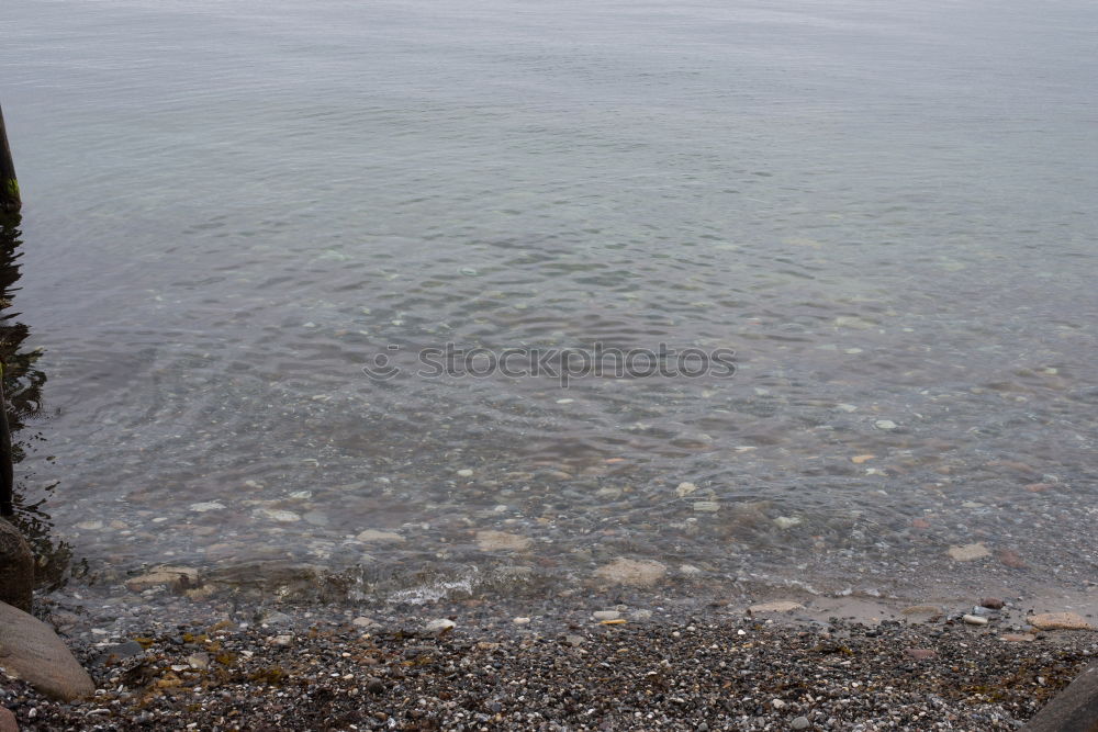 Similar – Image, Stock Photo primordial soup Earth Sand