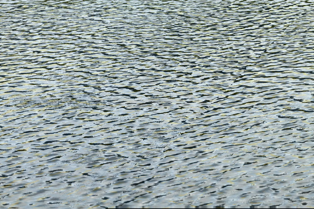 Similar – Foto Bild Planschbecken Wiese