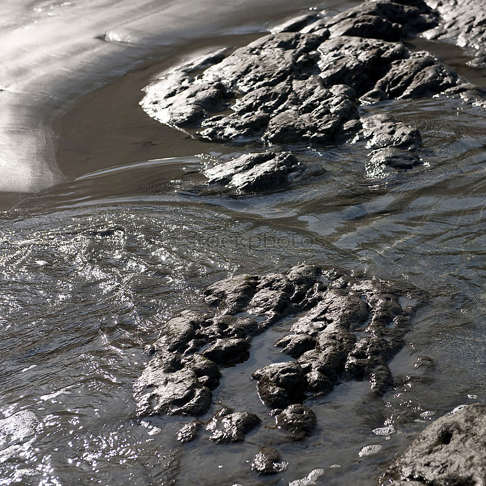 Similar – Aerial photo: Muschelberge