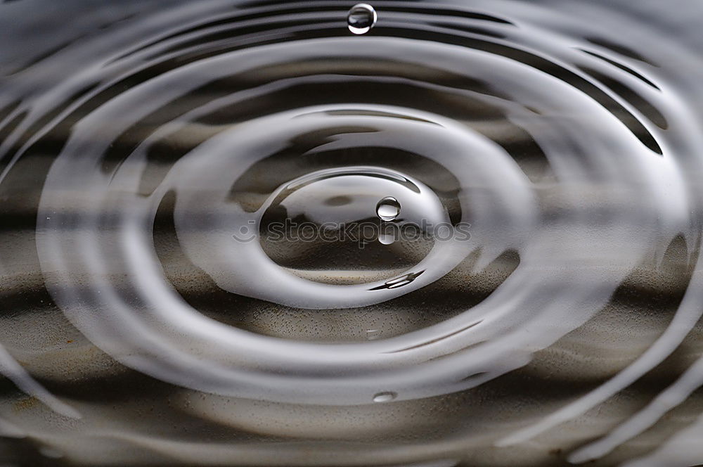 Image, Stock Photo The Dome Art Plant Water