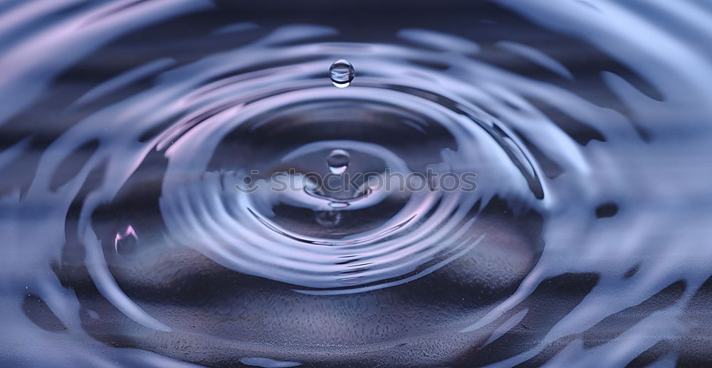 Similar – Image, Stock Photo The Dome Art Plant Water