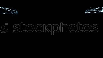 Similar – Image, Stock Photo –><FONT COLOR=”#FFFF00″>-==- PROUDLY PRESENTS