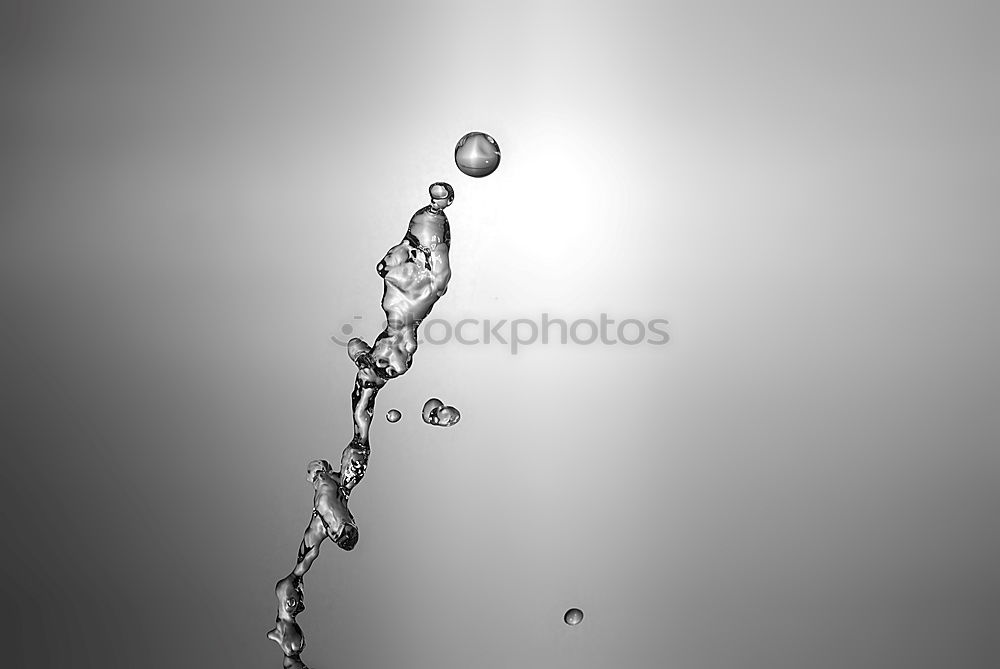 Similar – Image, Stock Photo The Dome Art Plant Water