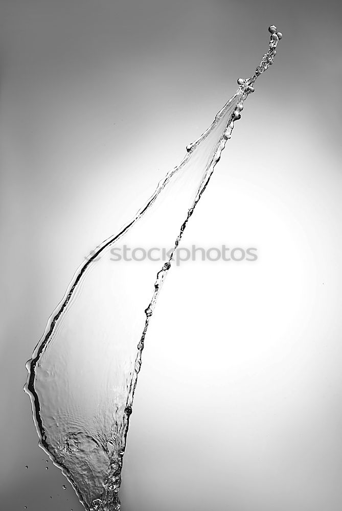 Blade of grass with spider threads and dewdrops