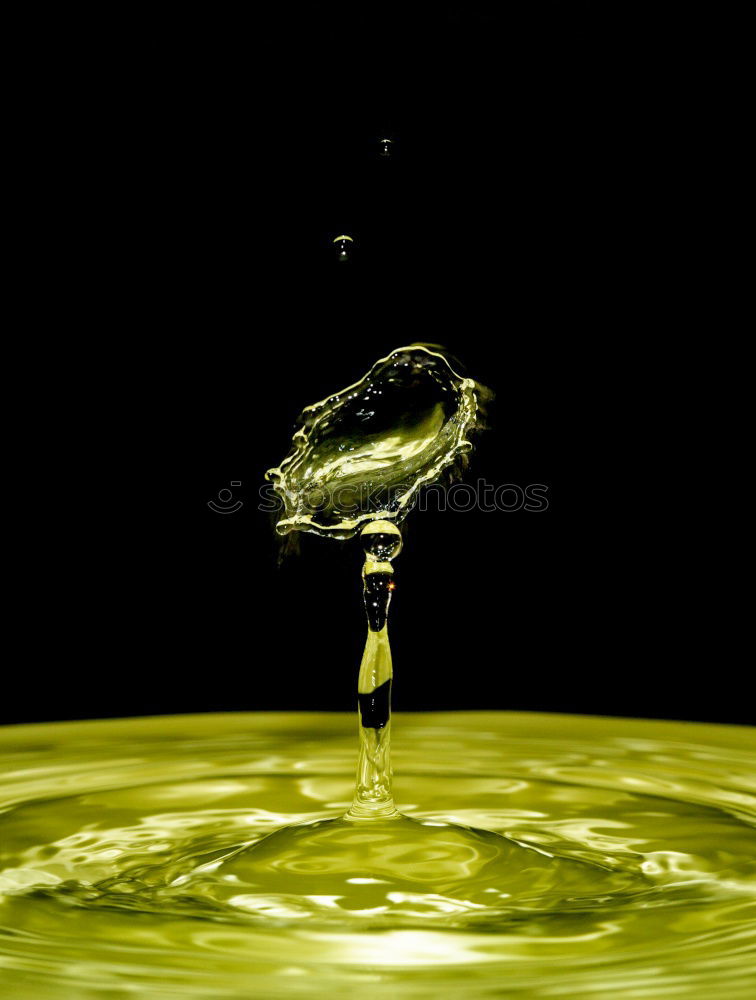 Similar – Image, Stock Photo origin Beverage Drinking