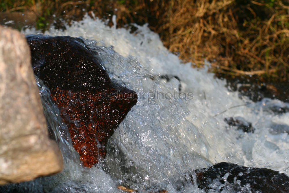 Similar – Bergbach again Brook