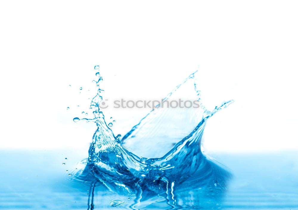 Similar – Image, Stock Photo Spring in a glass Glass