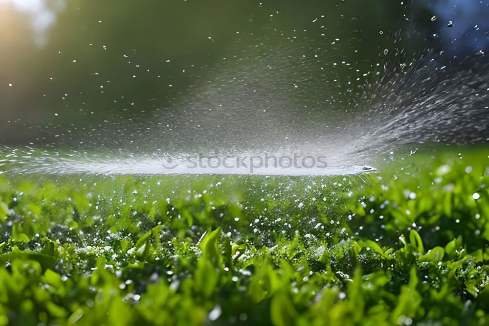 Similar – Image, Stock Photo The garden season has begun