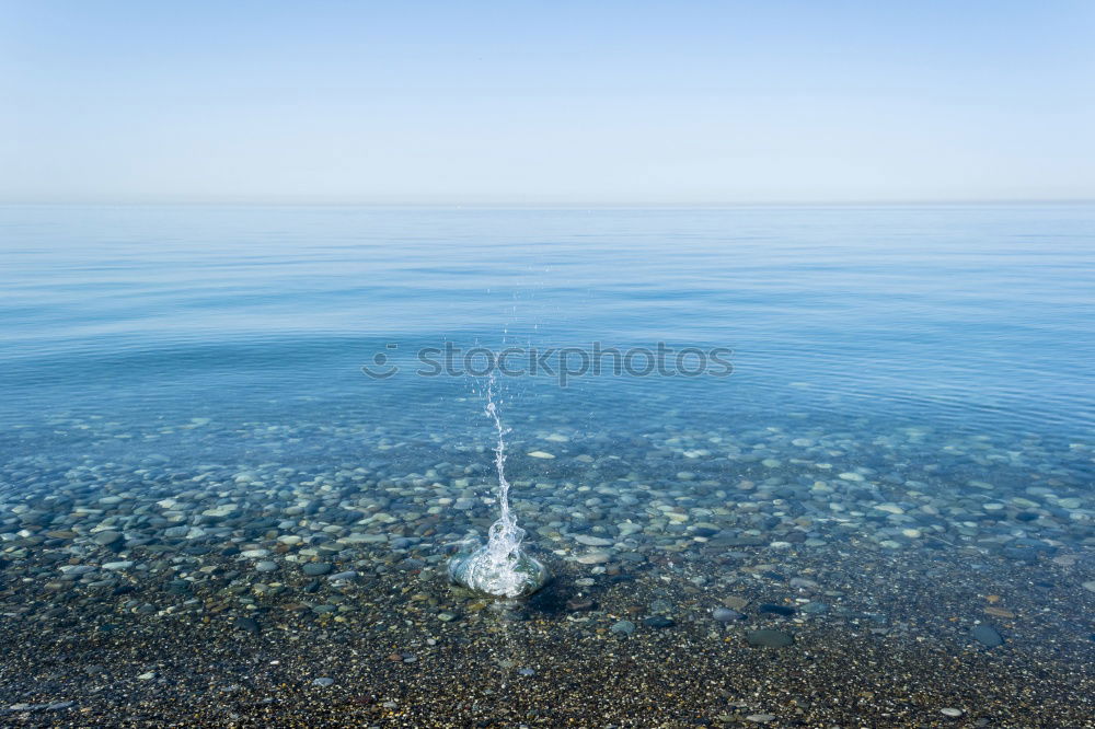 Image, Stock Photo The thing from the sea.