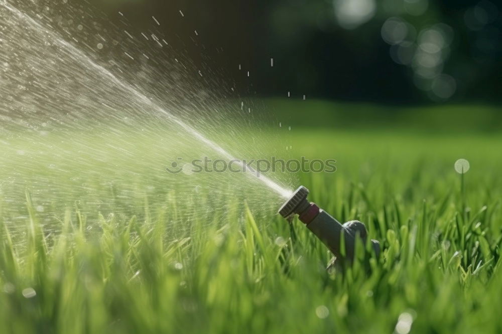 Similar – Image, Stock Photo The garden season has begun