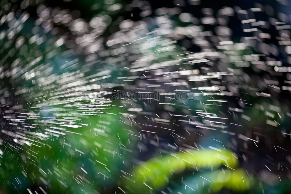 Image, Stock Photo from the willgrass, the marsh and its guilt