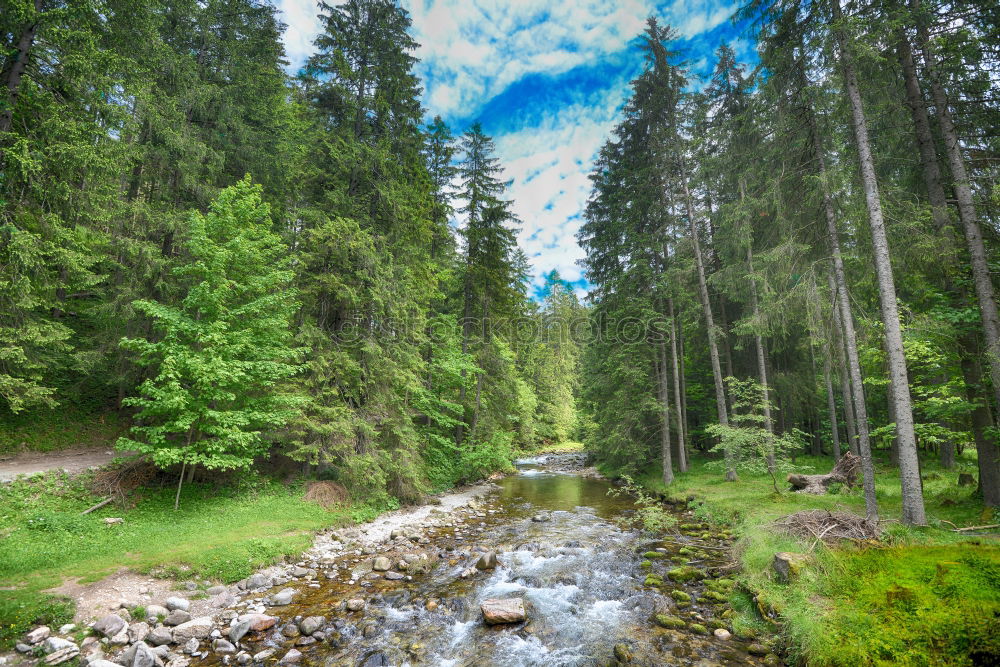 Similar – Image, Stock Photo Transalp, Inn valley