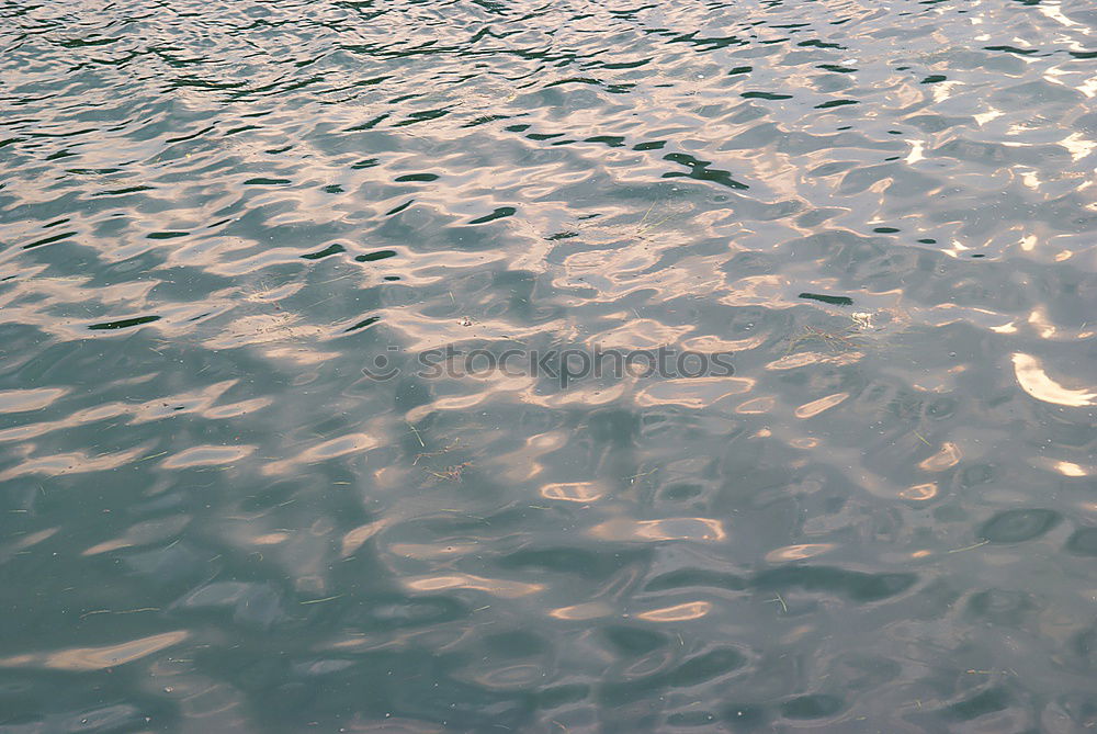 Similar – Image, Stock Photo silver Puddle Reflection