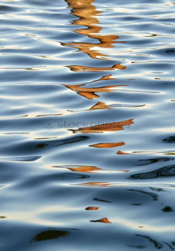 Similar – Image, Stock Photo farewell Harbour tour