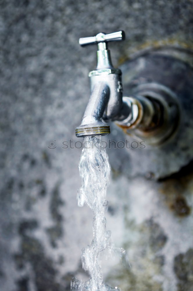 Similar – Image, Stock Photo Public washbasin Nature