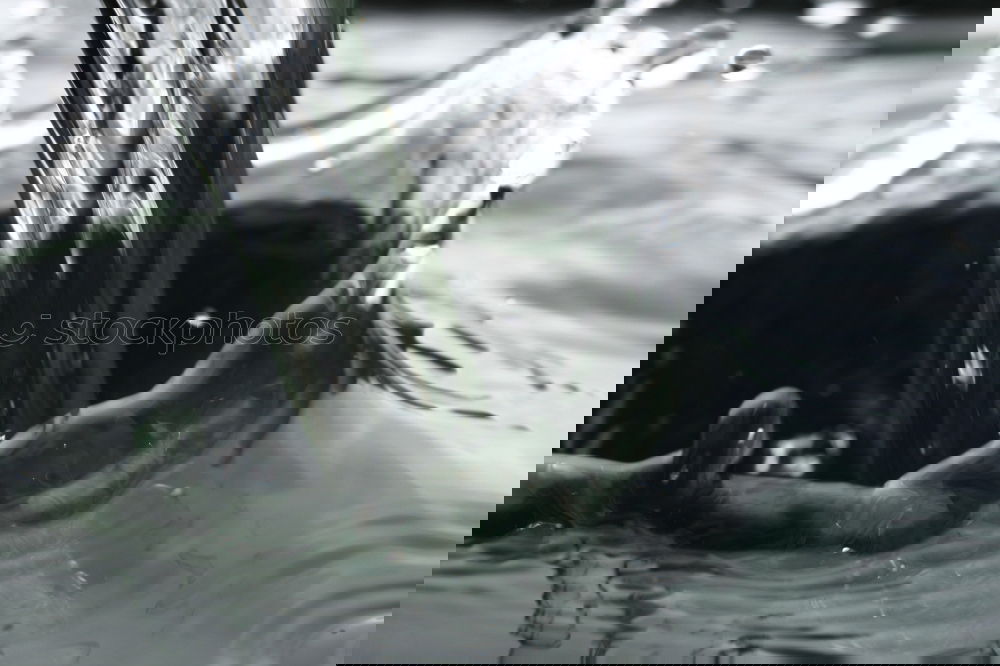 Similar – Foto Bild Sprinkleranlage Wasser