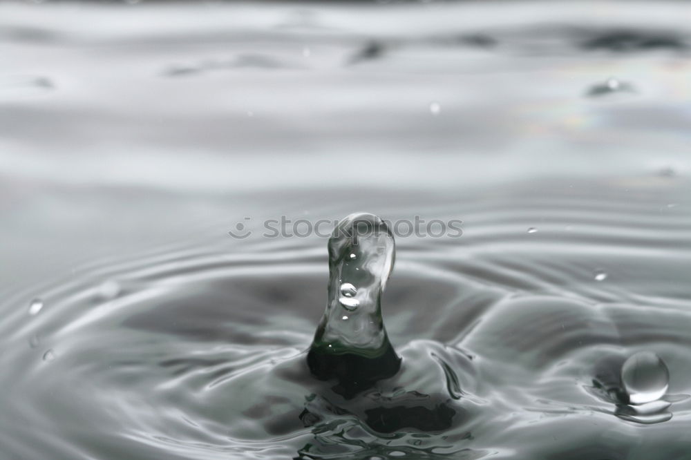 Similar – Image, Stock Photo Gentle touch Human being