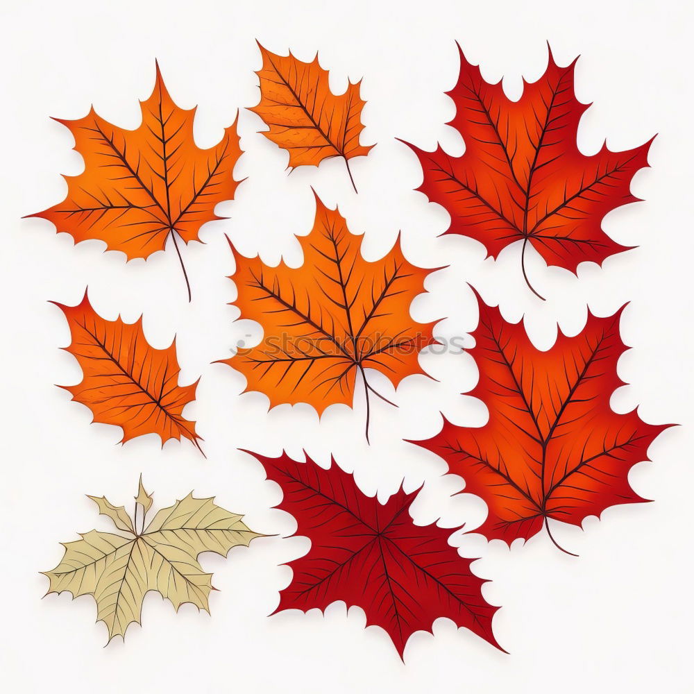 Similar – Image, Stock Photo #AS# Autumn Three Art