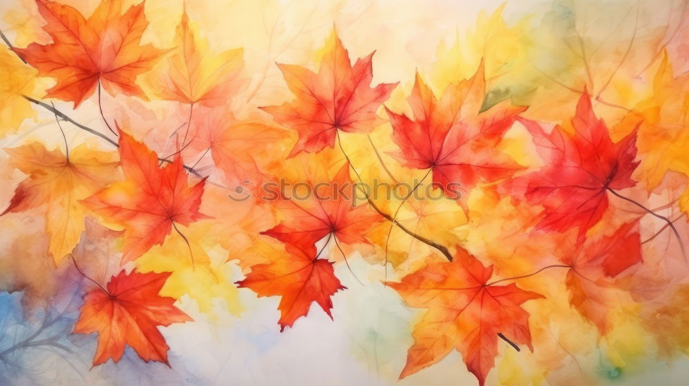 Similar – Autumn background with flying tree leaves