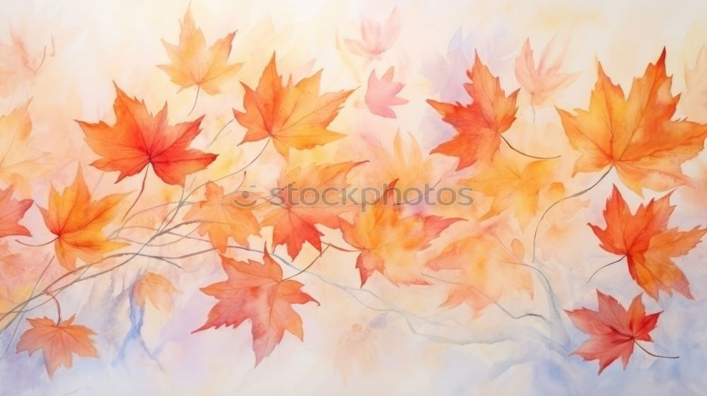 Similar – Autumn background with flying tree leaves