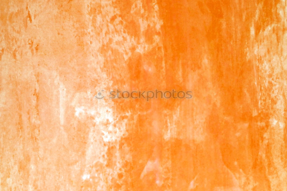 Similar – Image, Stock Photo Beyond the mainstream orangery.