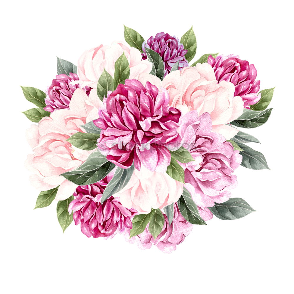 Similar – Image, Stock Photo Pastel pink flowers layout