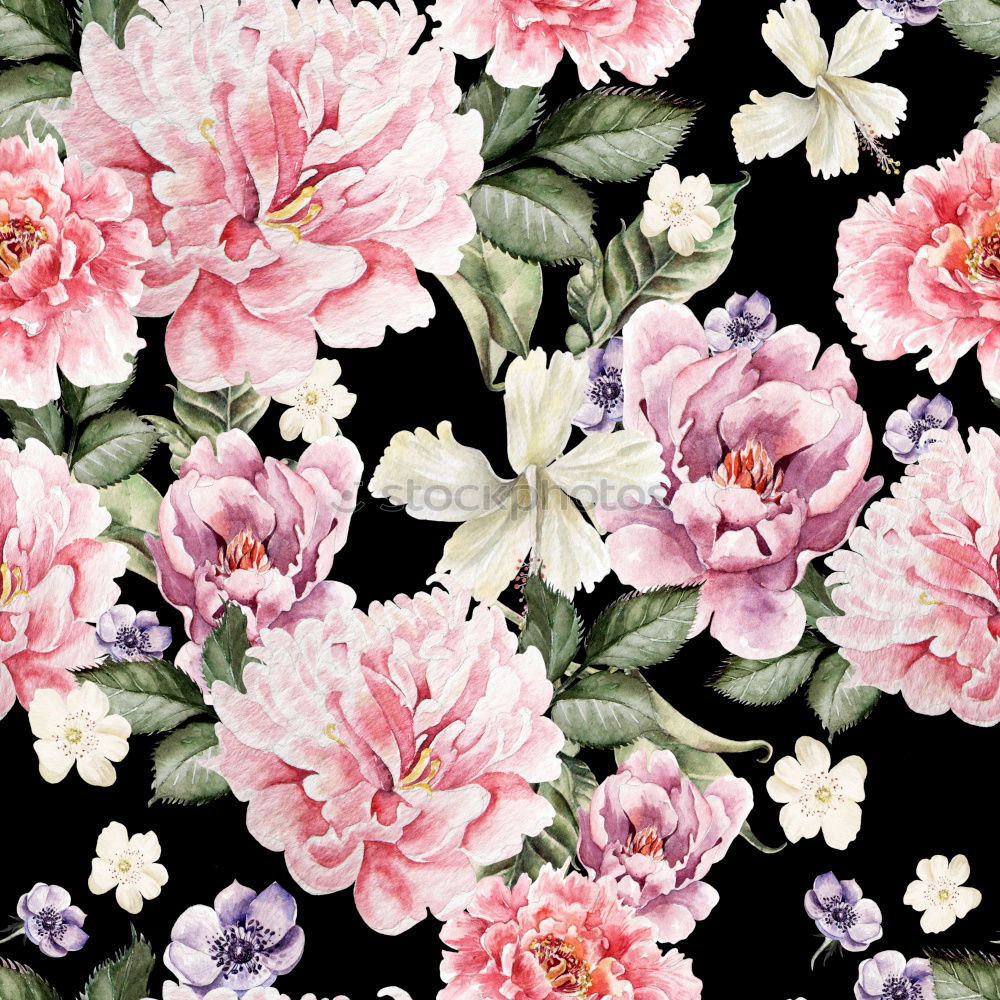 Similar – Pastel pink flowers background