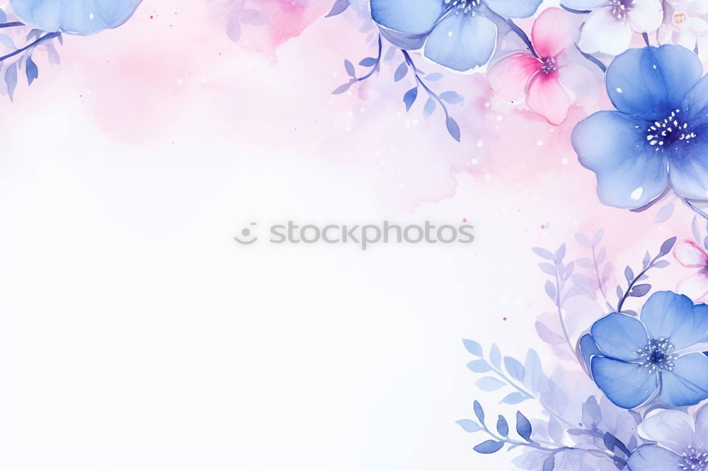 Similar – Blue flower on white background