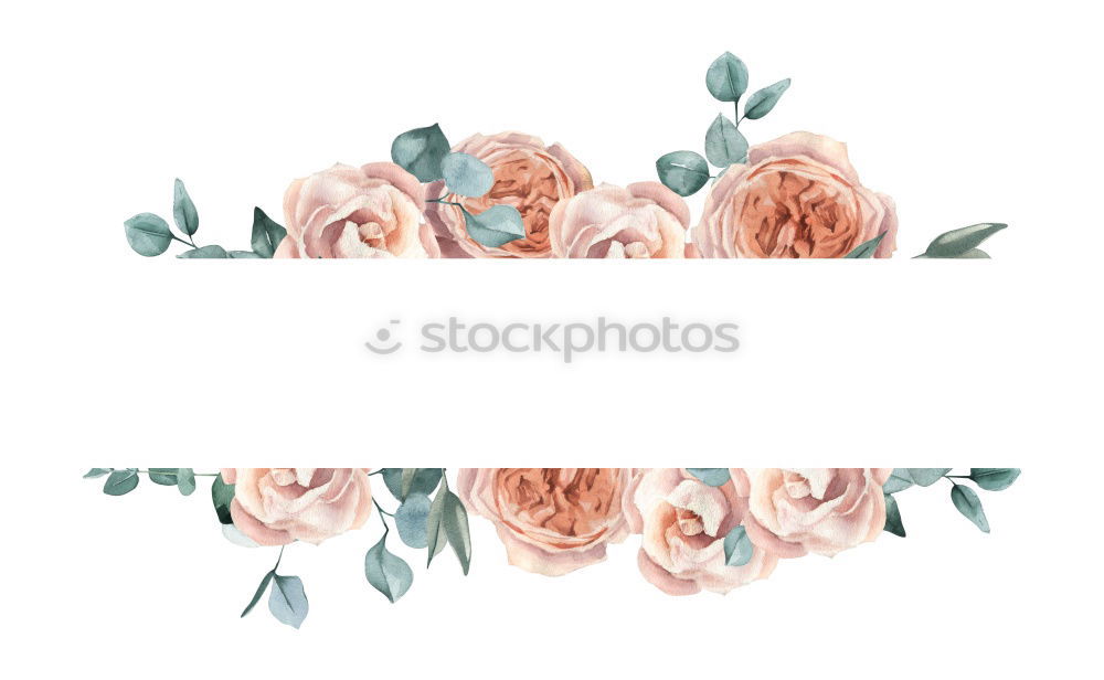 Image, Stock Photo Pink flowers on blue background