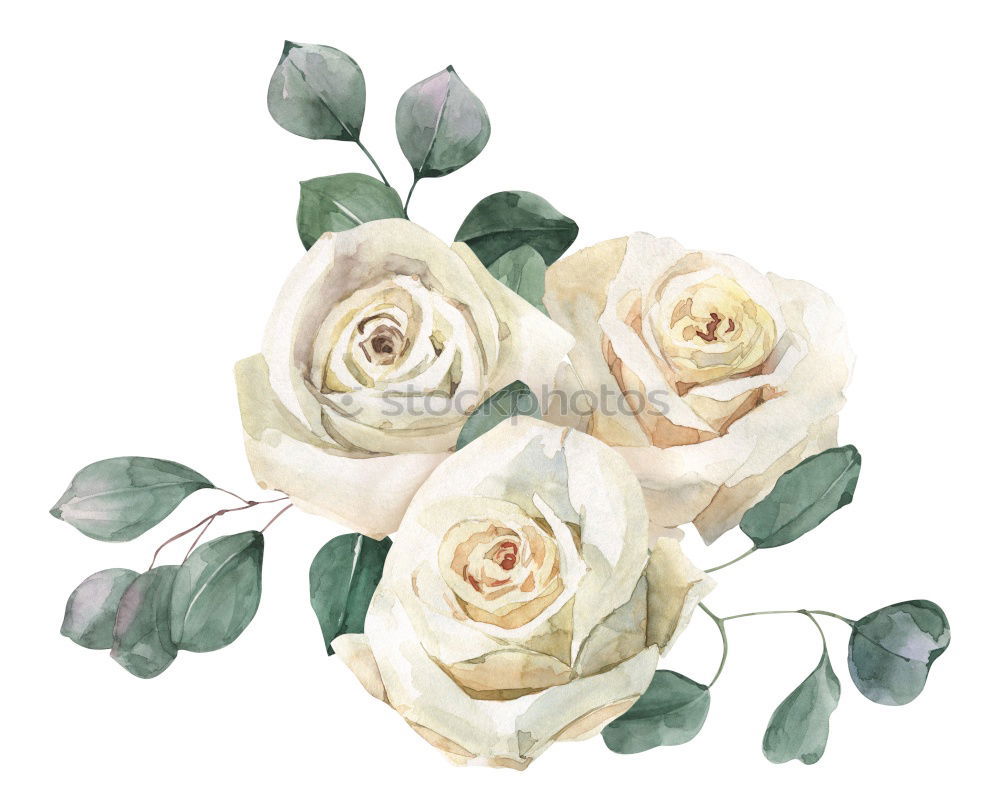 Similar – Image, Stock Photo valentine delay