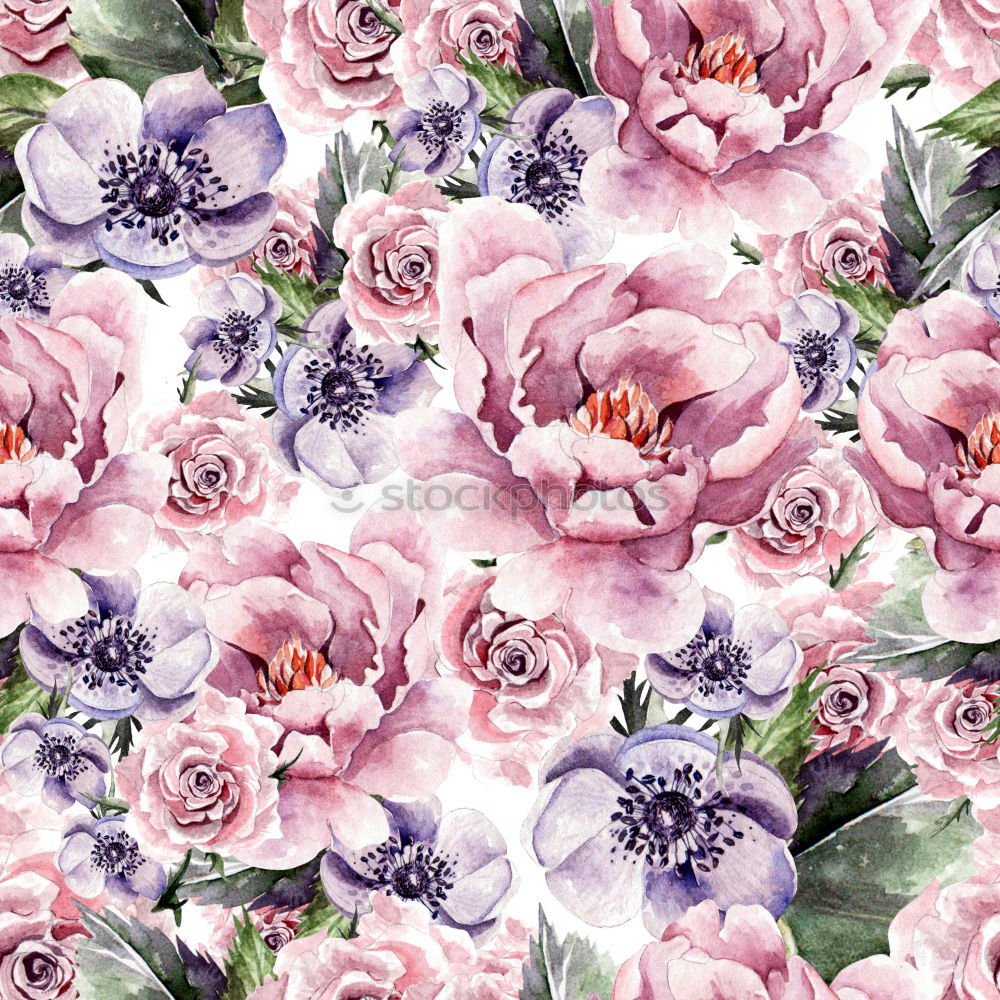 Similar – Pastel pink flowers background