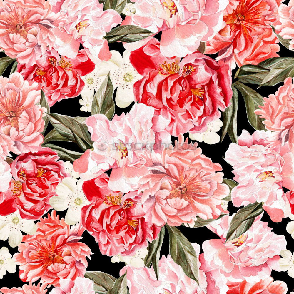 Similar – Pastel pink flowers background