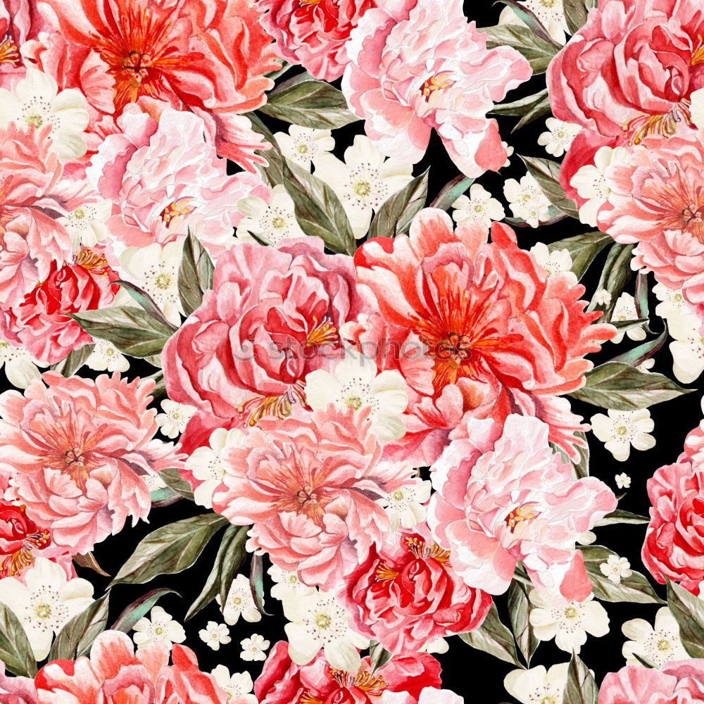 Similar – Pastel pink flowers background