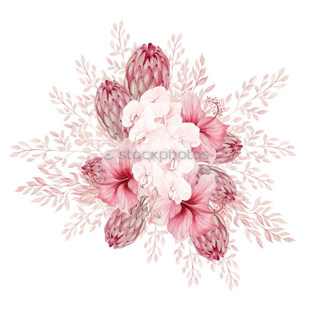 Similar – Image, Stock Photo Pastel pink flower composition