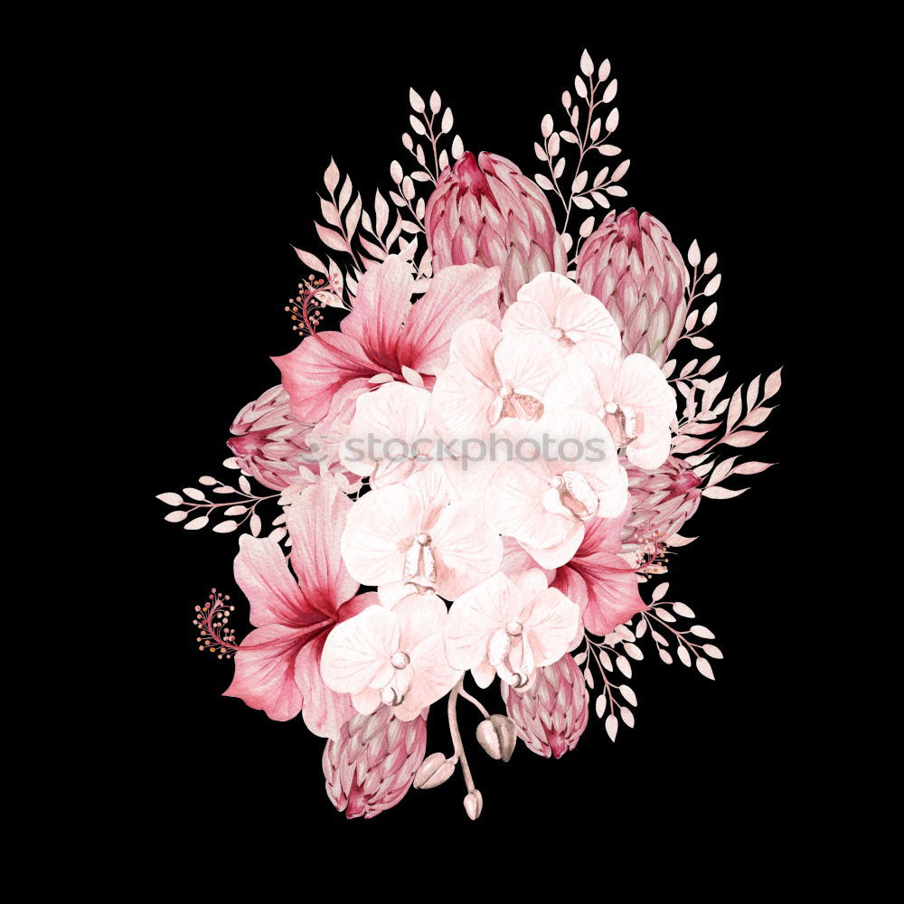 Similar – Image, Stock Photo white gerbera with pink gypsophila against a green background