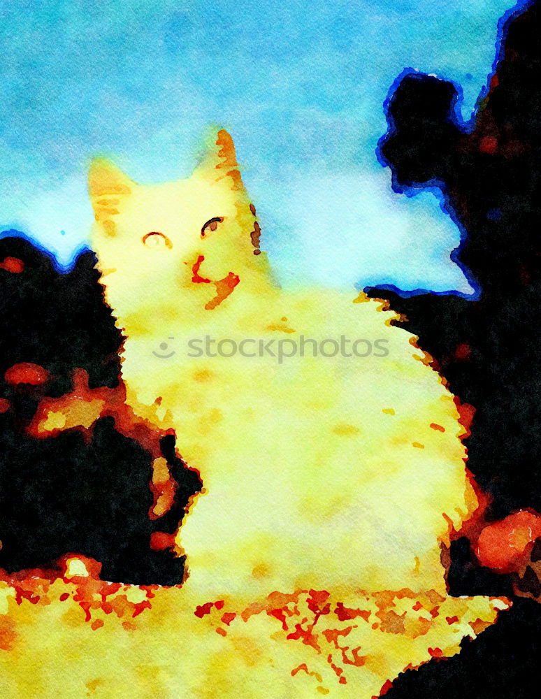 Similar – Foto Bild pixi mampft gras Katze