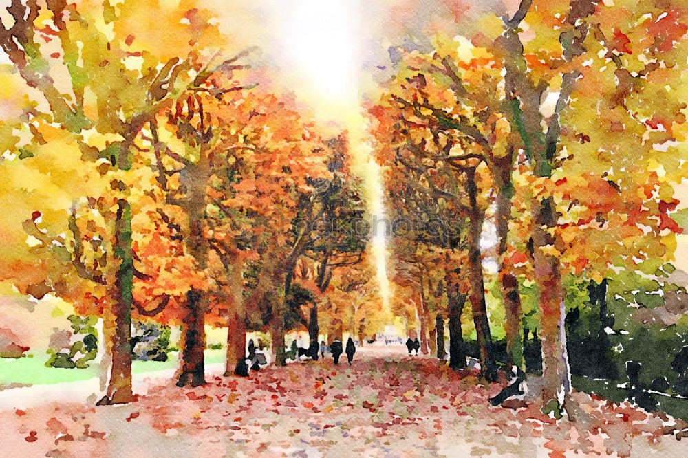 Similar – Image, Stock Photo Linden avenue (2) Autumn