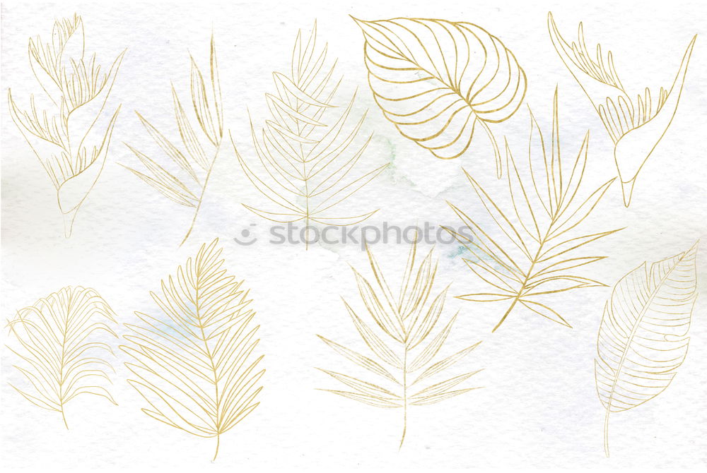 Similar – Square golden frame made of green watercolor leaves, wedding illustration