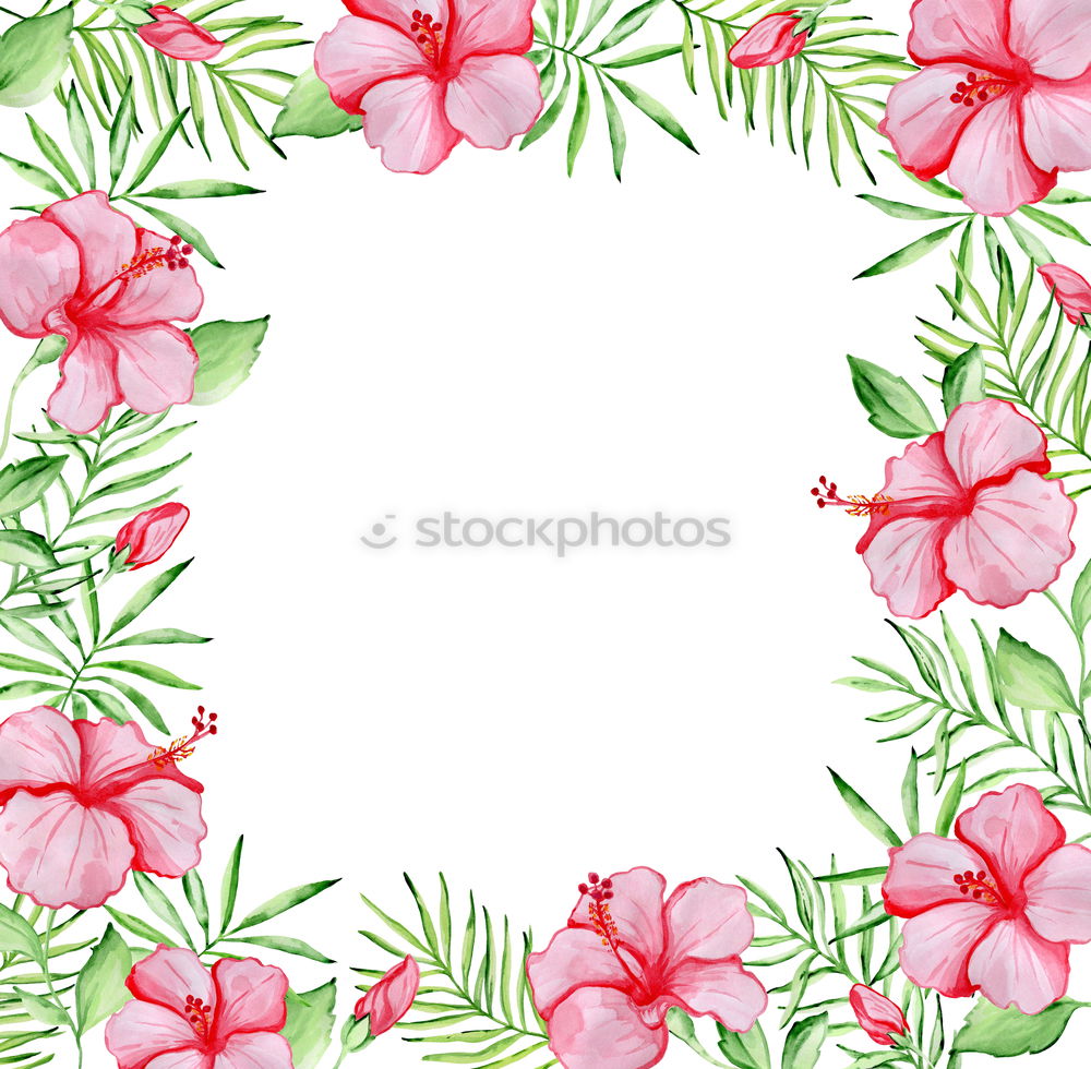 Similar – White background with tropical palm leaves and flowers