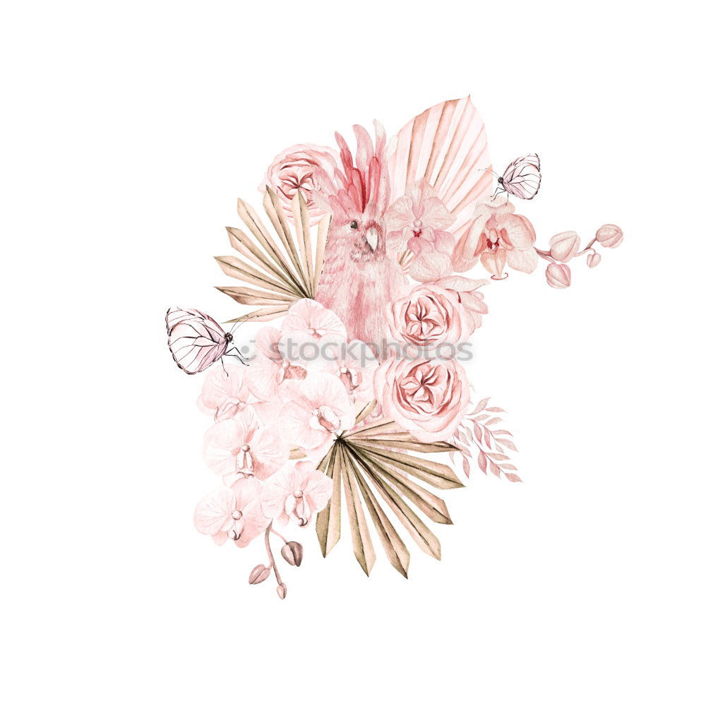 Similar – Composition of pink accessories to female holidays: Mothers day , Womens day, birthday or wedding. Paper shopping bag with flowers,paper, party fan and ribbon on white background, top view