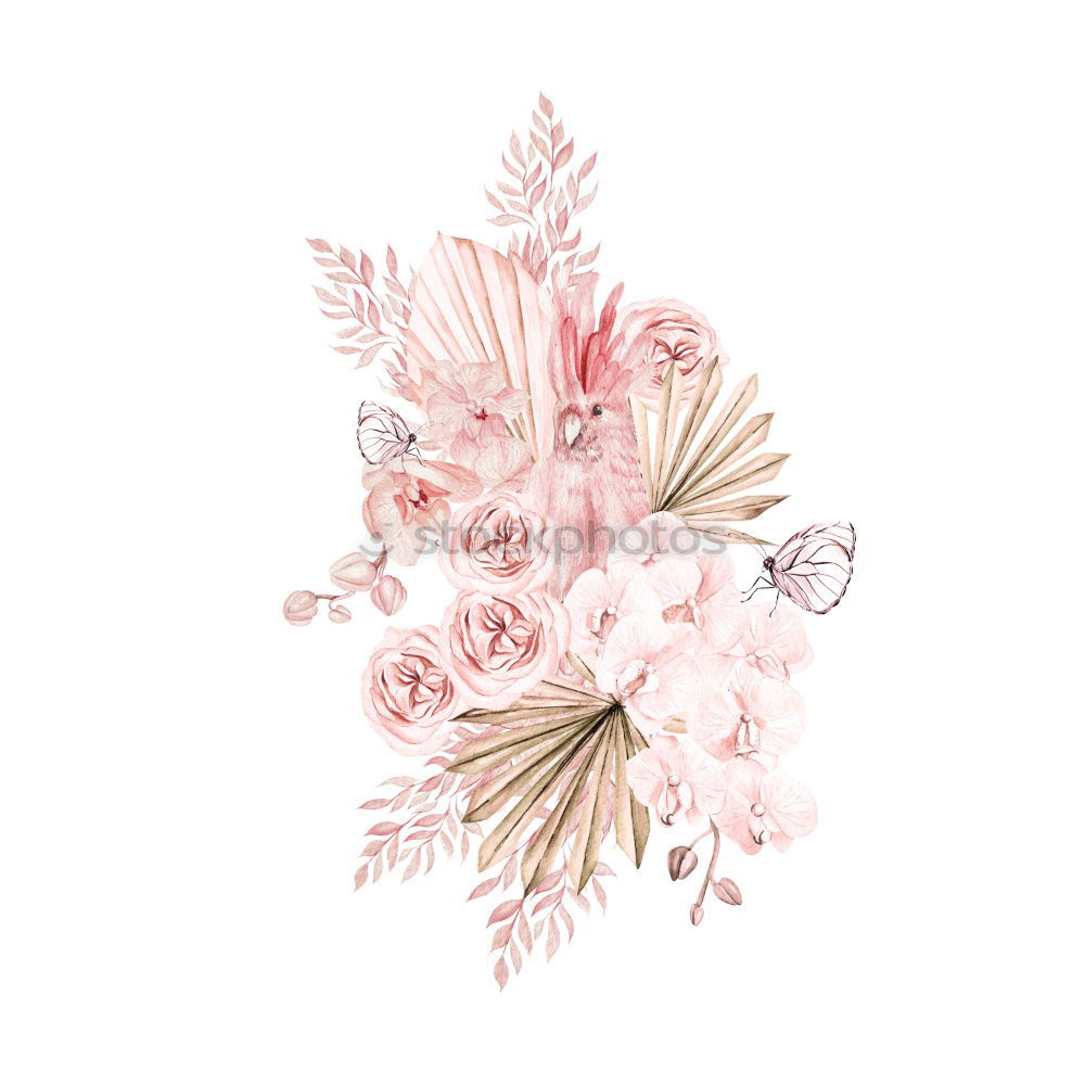 Similar – Image, Stock Photo Pastel pink flower composition