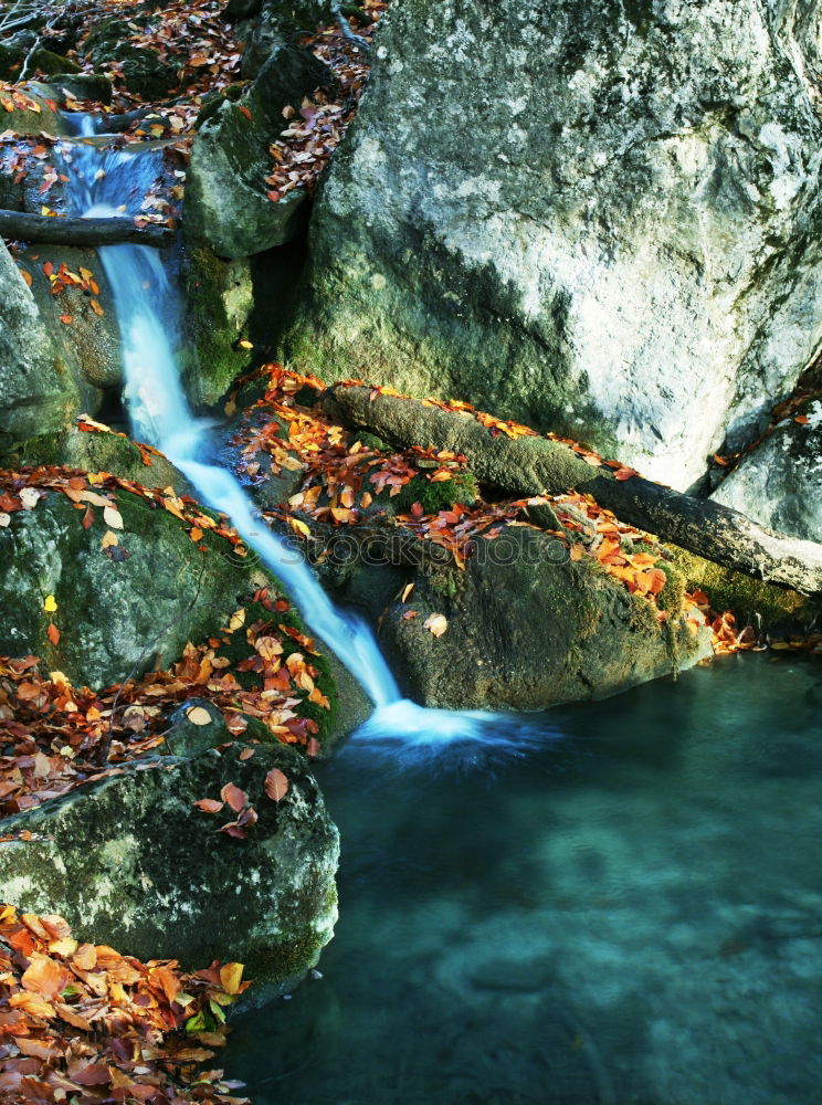 Similar – Image, Stock Photo A wild river flowing through large rocks with moss