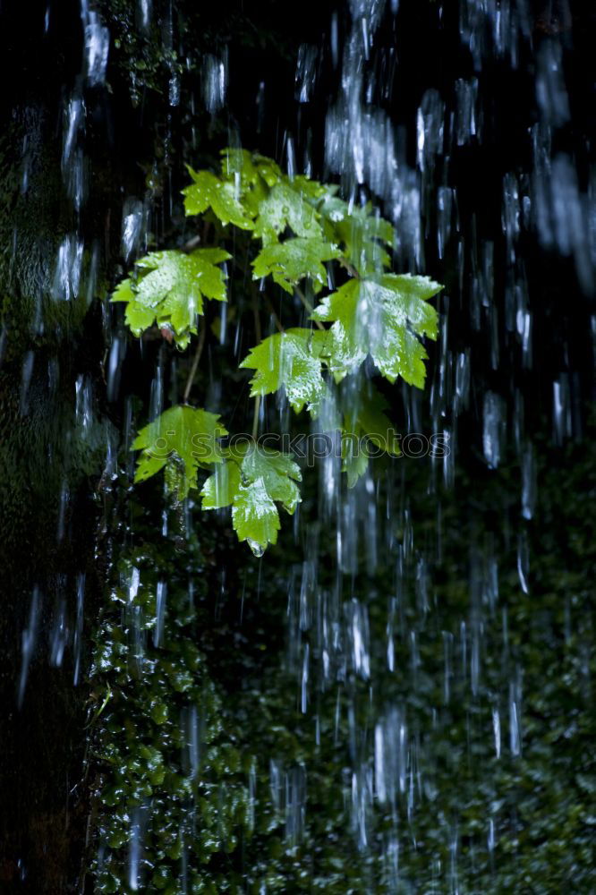 Similar – Image, Stock Photo rain Rain Drops of water