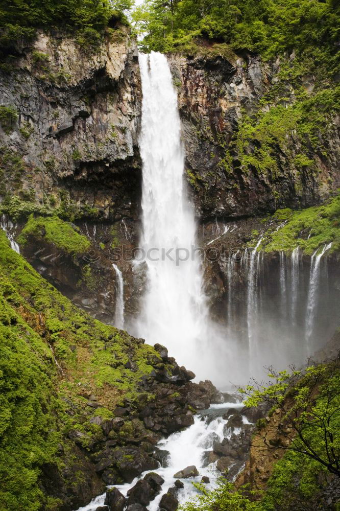 Similar – milford sound Environment