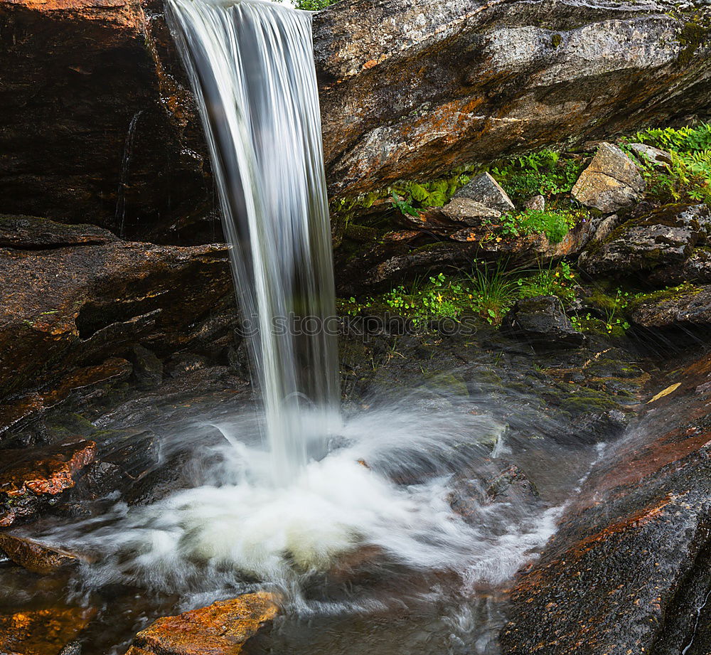 Similar – Image, Stock Photo chilling Nature Water